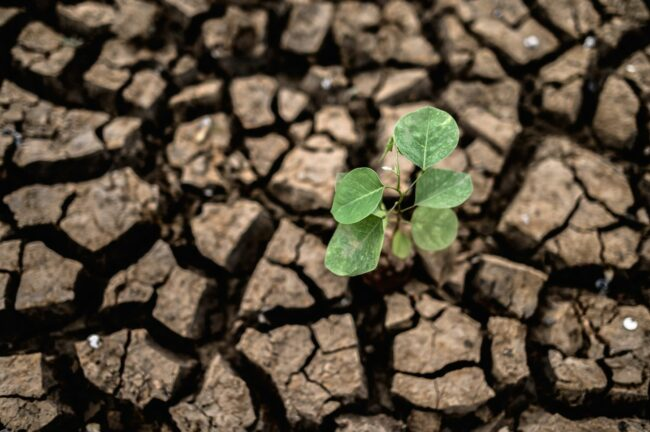 Alta Gracia fue elegida entre más de 700 ciudades para un fondo climático internacional