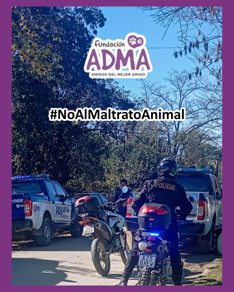 Rescataron a nueve animales del maltrato extremo tras dos allanamientos en Alta Gracia