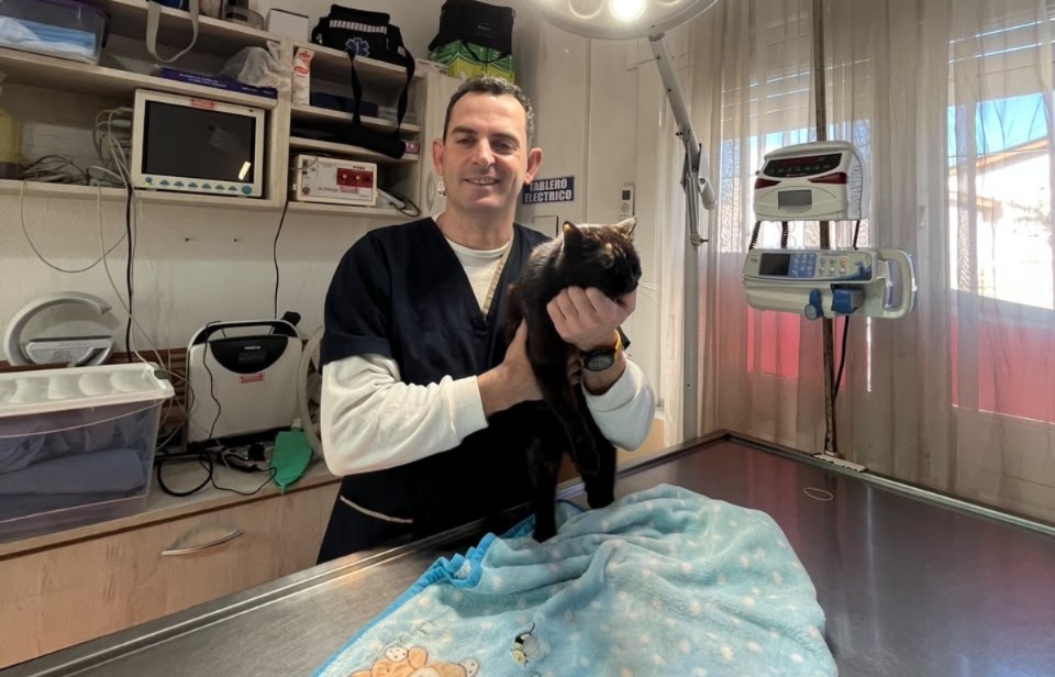 Día del Veterinario: el rol clave de quienes cuidan a nuestros “hijos de cuatro patas”