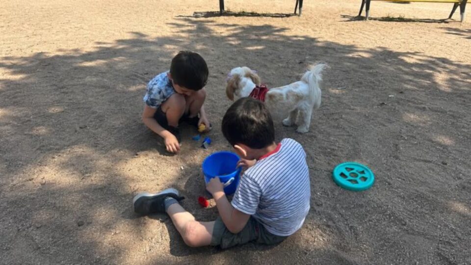Buscan familias para adoptar a Tobías y Luis, dos hermanitos cordobeses